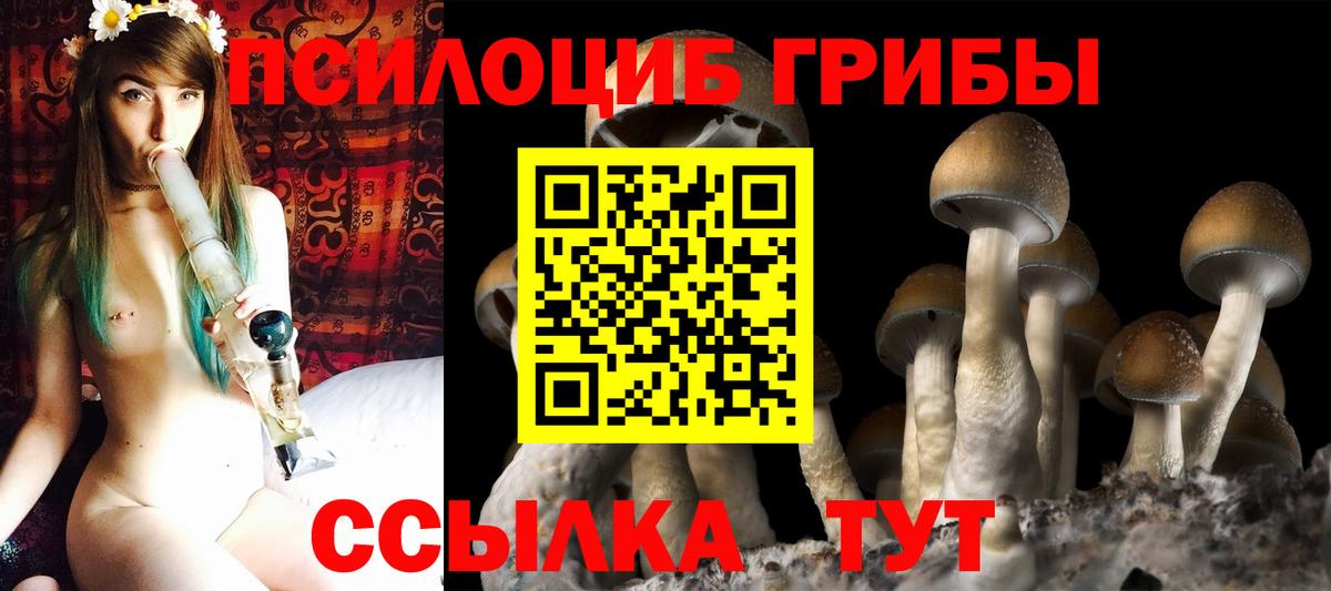 продажа наркотиков  Вход с VPN  Галлюциногенные грибы Magic Shrooms  Бийск  Псилоцибиновые грибы мухоморы 
