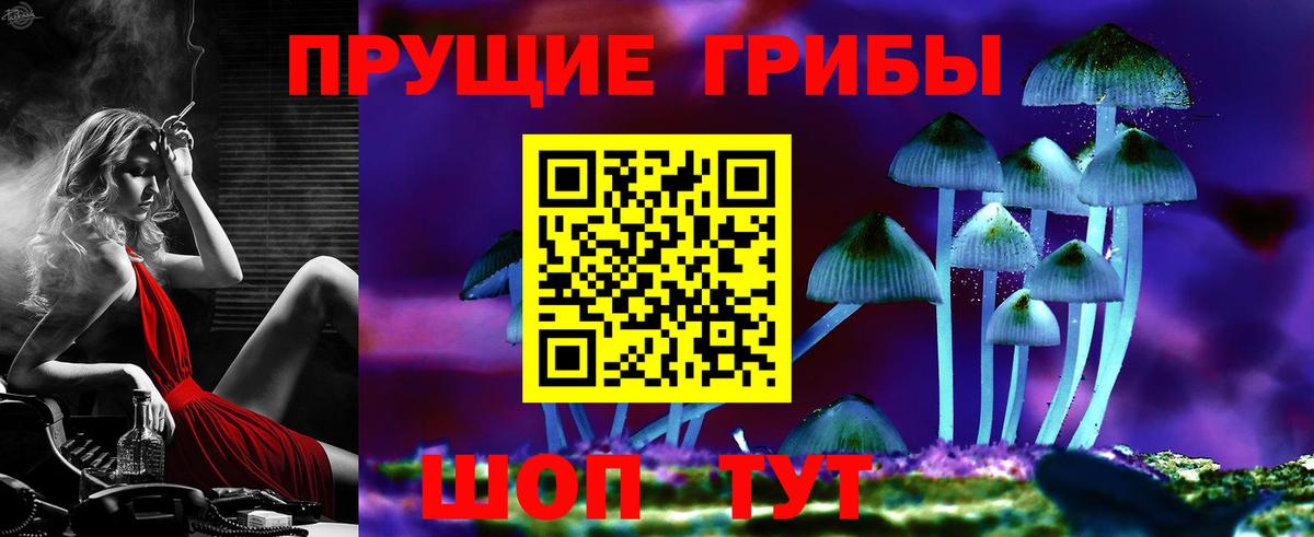 Псилоцибиновые грибы мицелий Бийск